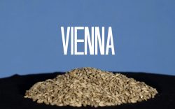 Vienna mout, basismout met gouden karakter | Brouwbeesten