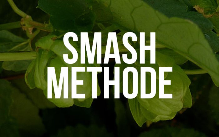 smash methode