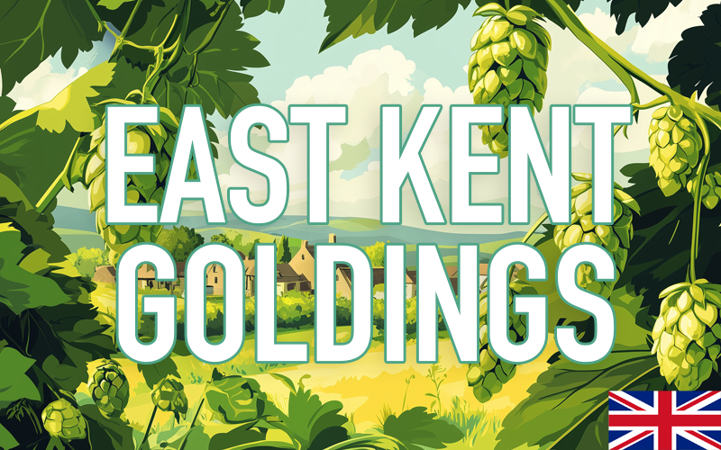 EAST KENT GOLDINGS HOP