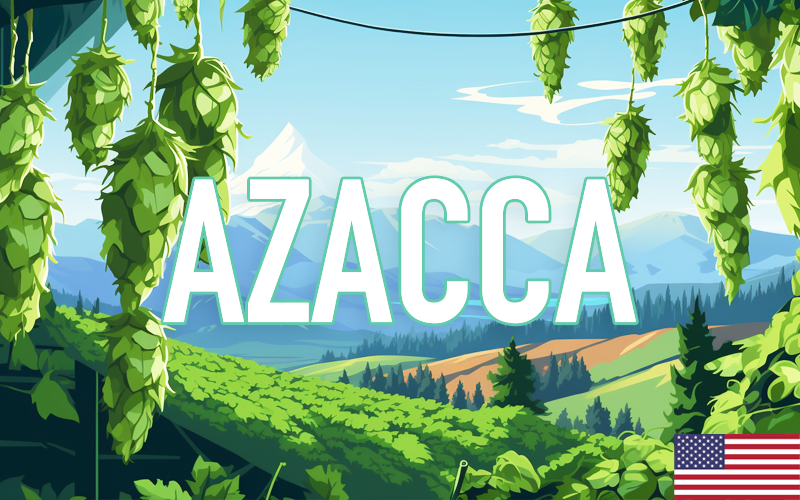 Azacca hop | Brouwbeesten