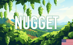 Nugget hop | Brouwbeesten